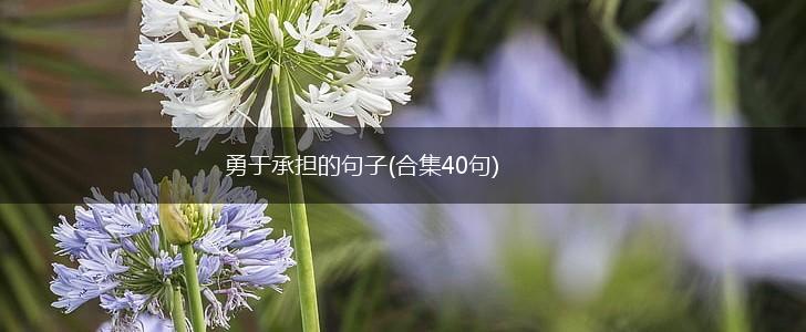 勇于承担的句子(合集40句),第1张