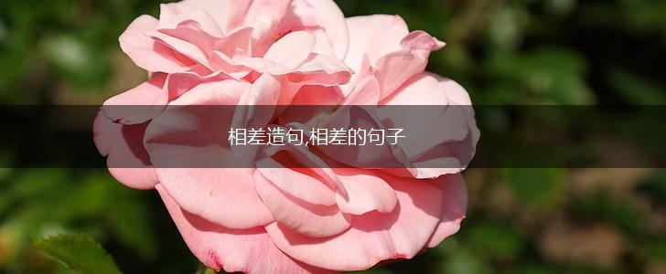 相差造句,相差的句子,第1张