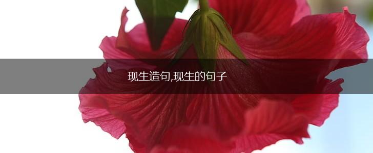现生造句,现生的句子,第1张