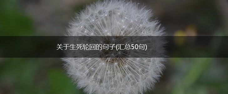 关于生死轮回的句子(汇总50句),第1张