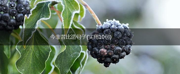今非昔比造句子(实用10句),第1张