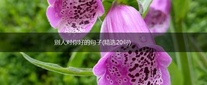 别人对你好的句子(精选20句),第1张