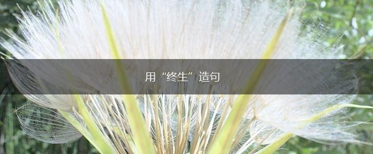 用“终生”造句,第1张