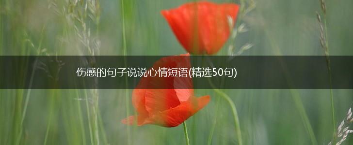 伤感的句子说说心情短语(精选50句),第1张