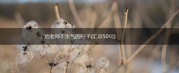 劝老师不生气的句子(汇总50句),第1张