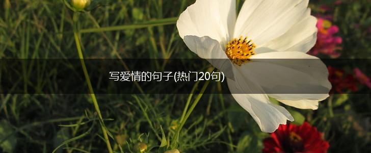 写爱情的句子(热门20句),第1张