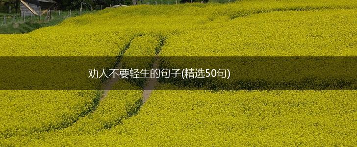 劝人不要轻生的句子(精选50句),第1张