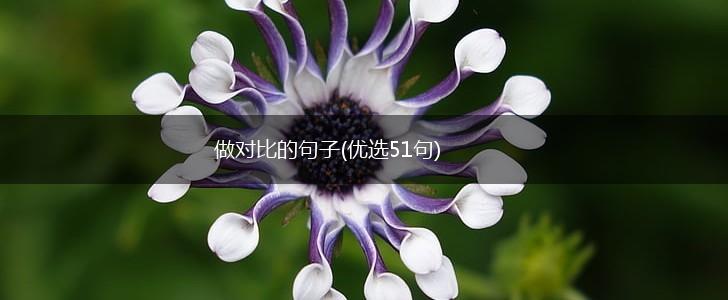做对比的句子(优选51句),第1张