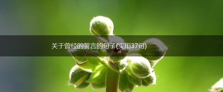 关于曾经的誓言的句子(实用37句),第1张