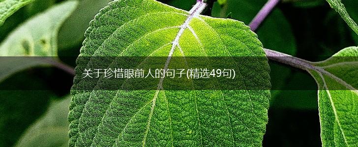 关于珍惜眼前人的句子(精选49句),第1张