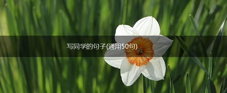 写同学的句子(通用50句),第1张