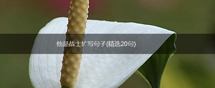 他是战士扩写句子(精选20句),第1张