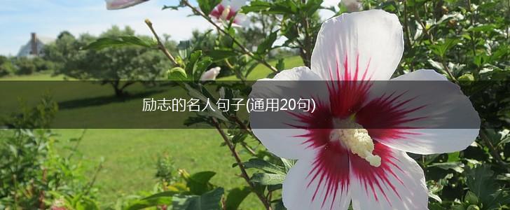 励志的名人句子(通用20句),第1张