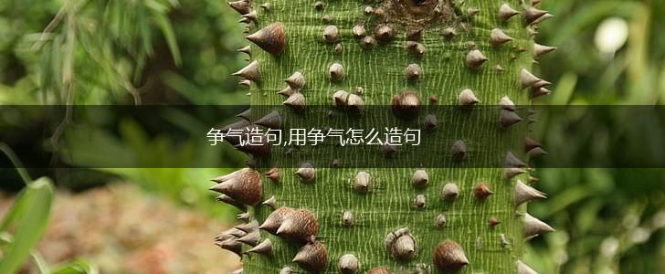 争气造句,用争气怎么造句,第1张