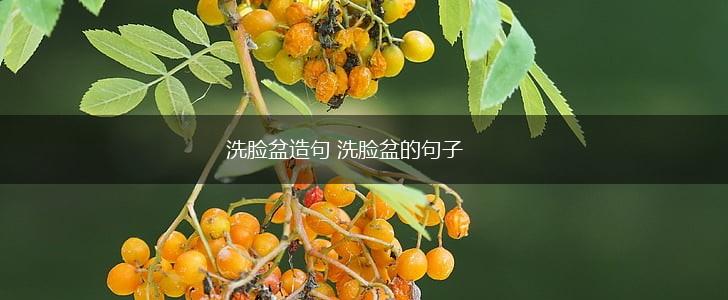 洗脸盆造句 洗脸盆的句子,第1张
