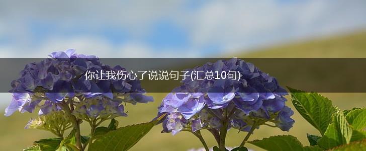 你让我伤心了说说句子(汇总10句),第1张