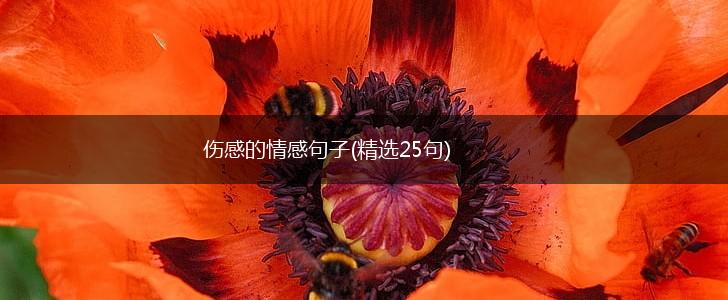 伤感的情感句子(精选25句),第1张