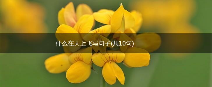 什么在天上飞写句子(共10句),第1张