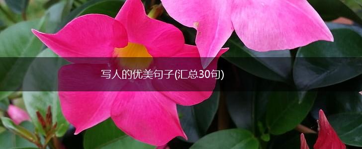 写人的优美句子(汇总30句),第1张