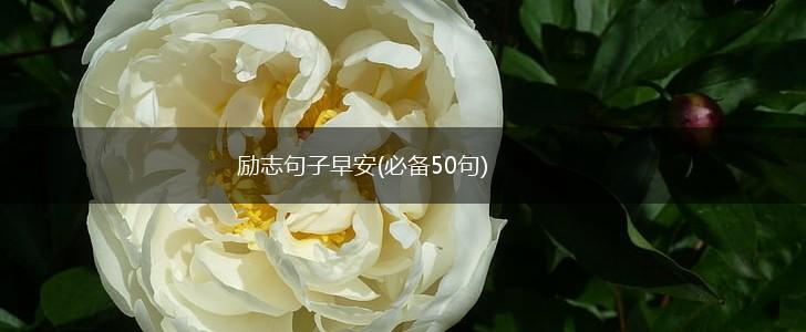 励志句子早安(必备50句),第1张