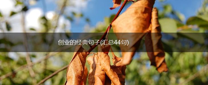 创业的经典句子(汇总44句),第1张