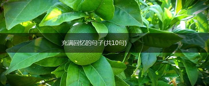 充满回忆的句子(共10句),第1张