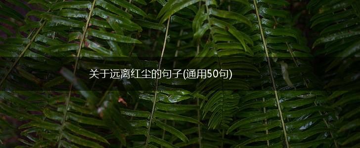 关于远离红尘的句子(通用50句),第1张