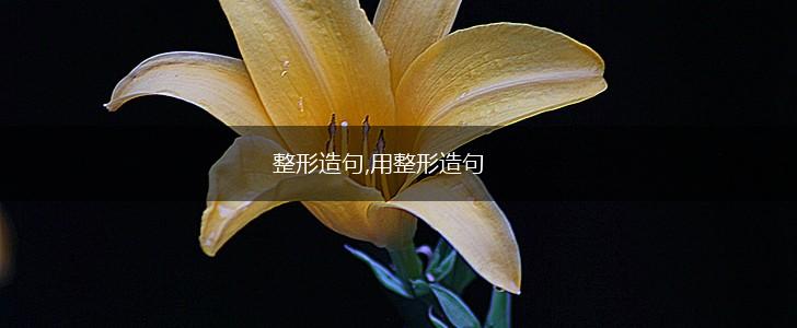 整形造句,用整形造句,第1张