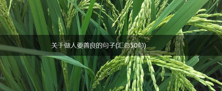 关于做人要善良的句子(汇总50句),第1张