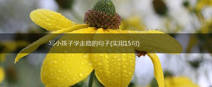写小孩子学走路的句子(实用15句),第1张