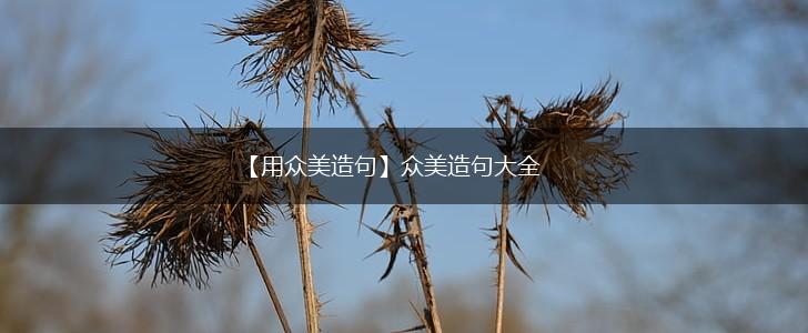 【用众美造句】众美造句大全,第1张