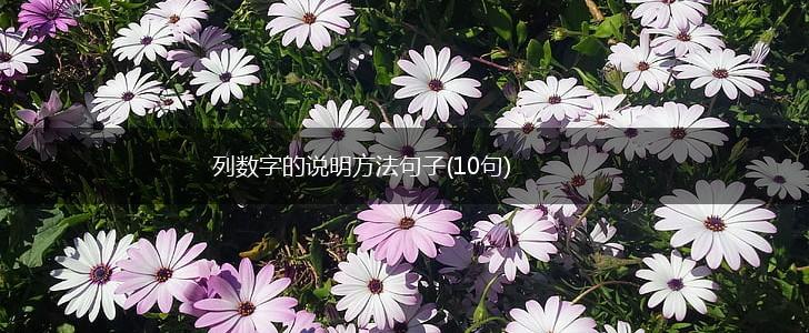 列数字的说明方法句子(10句),第1张