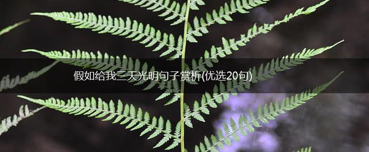 假如给我三天光明句子赏析(优选20句),第1张