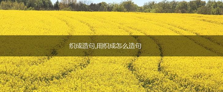 织成造句,用织成怎么造句,第1张