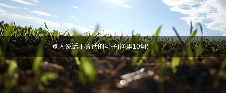 别人说话不算话的句子(通用10句),第1张