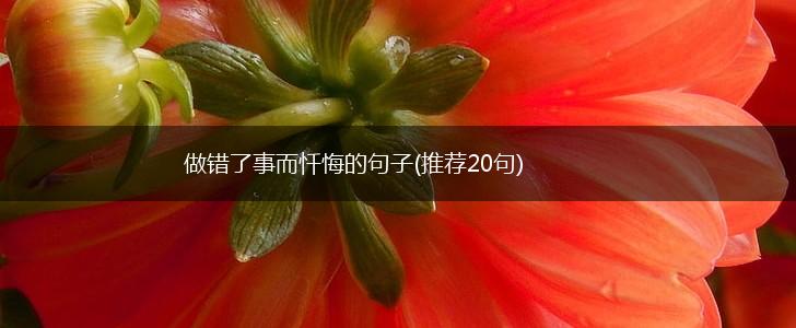做错了事而忏悔的句子(推荐20句),第1张