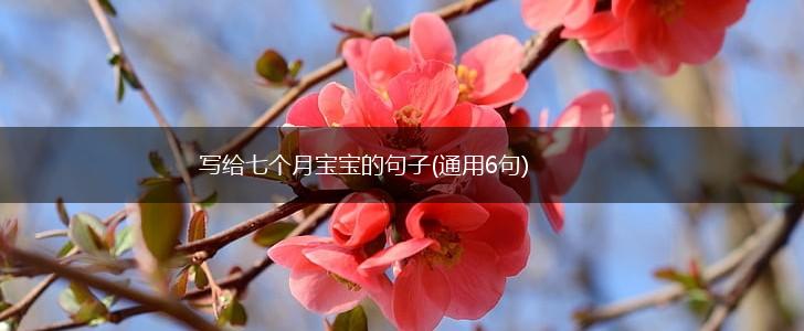 写给七个月宝宝的句子(通用6句),第1张