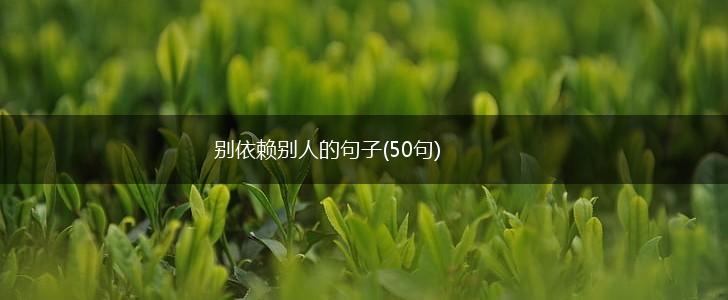 别依赖别人的句子(50句),第1张