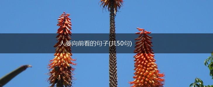 人要向前看的句子(共50句),第1张