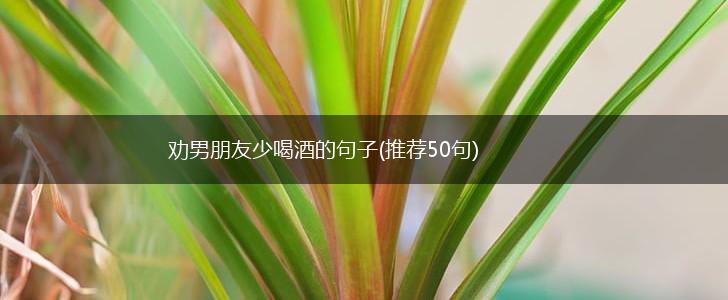 劝男朋友少喝酒的句子(推荐50句),第1张