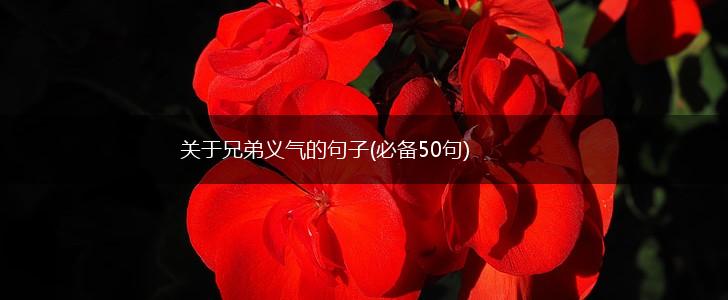 关于兄弟义气的句子(必备50句),第1张