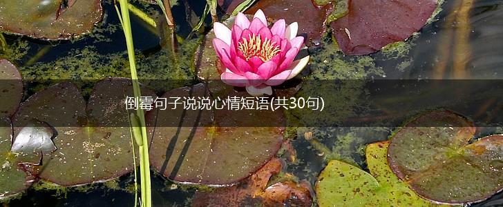 倒霉句子说说心情短语(共30句),第1张