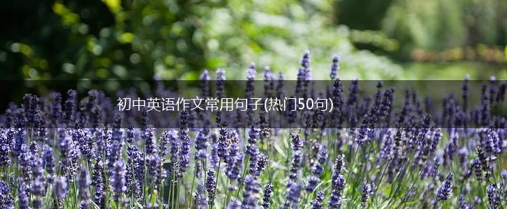 初中英语作文常用句子(热门50句),第1张