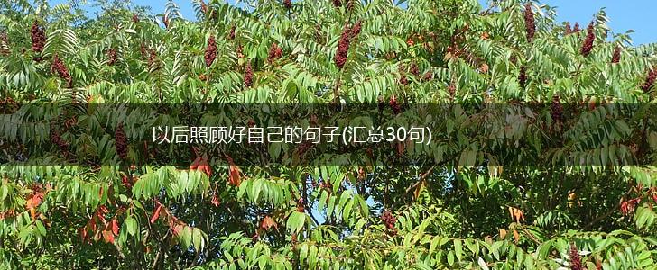 以后照顾好自己的句子(汇总30句),第1张