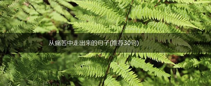 从痛苦中走出来的句子(推荐30句),第1张