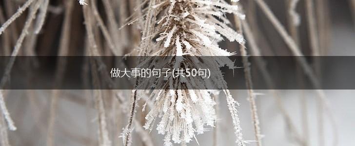 做大事的句子(共50句),第1张