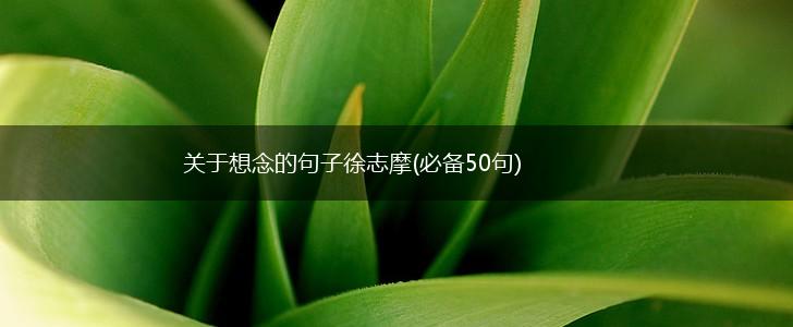 关于想念的句子徐志摩(必备50句),第1张