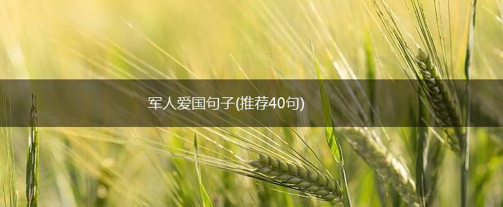 军人爱国句子(推荐40句),第1张