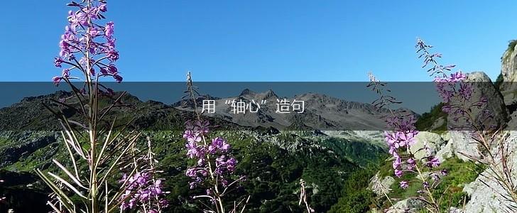 用“轴心”造句,第1张