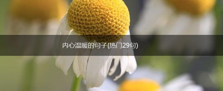 内心温暖的句子(热门29句),第1张